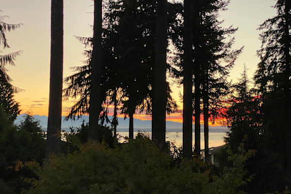 House sit in Edmonds, WA, US