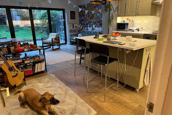 House sit in Walthamstow, United Kingdom