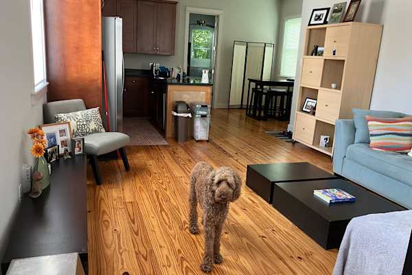 House sit in Houston, TX, US