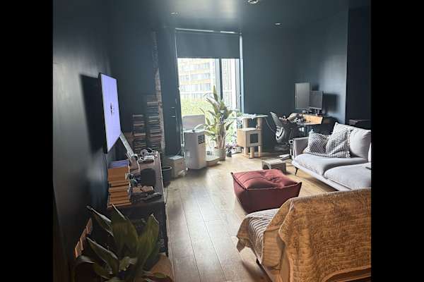 House sit in Elephant & Castle, United Kingdom