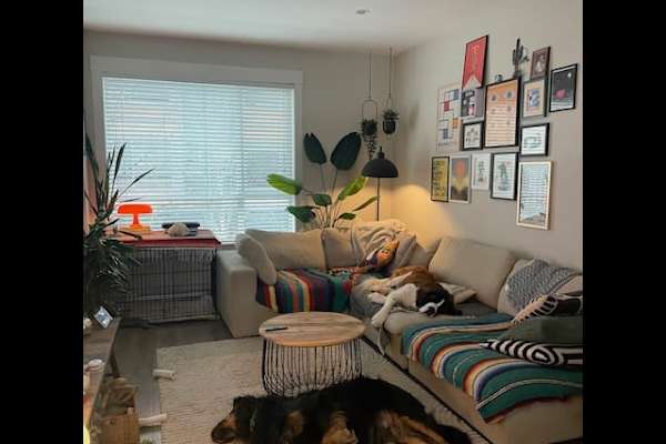 House sit in Squamish, BC, Canada