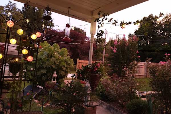 House sit in Morganton, NC, US