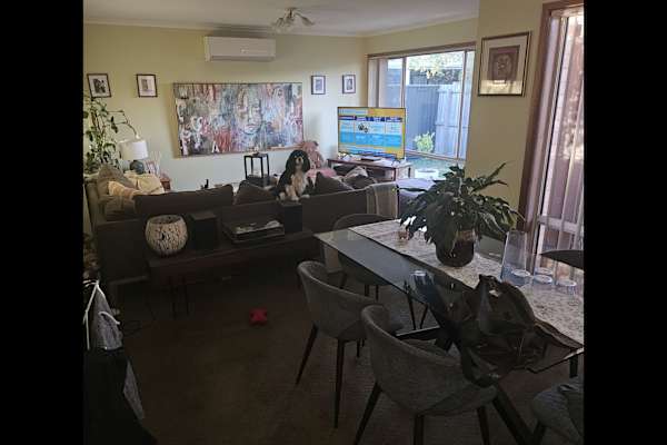 House sit in Geelong, VIC, Australia