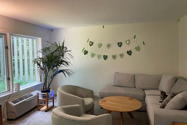 House sit in Northampton, MA, US