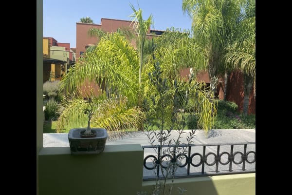 House sit in San Miguel de Allende, Mexico