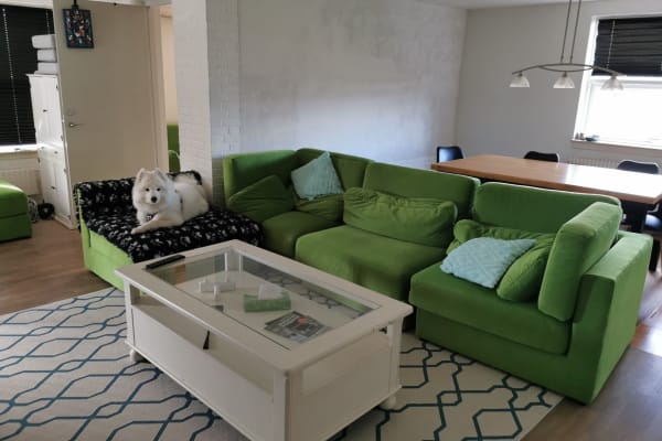 House sit in Roskilde, Denmark