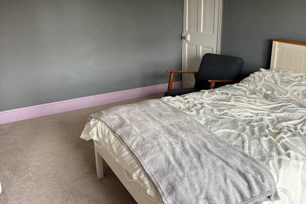 House sit in Taunton, United Kingdom