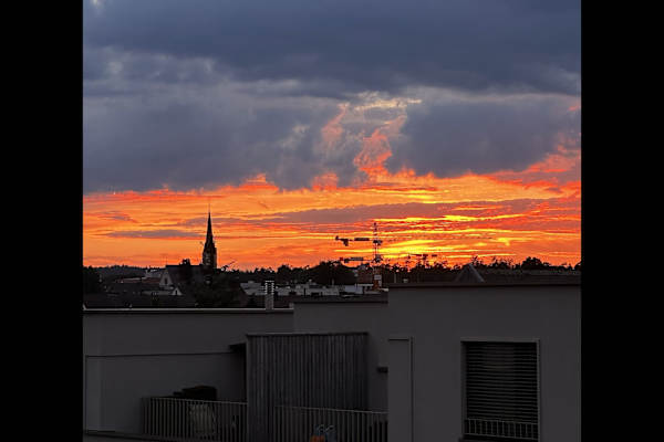 House sit in Bülach, Switzerland