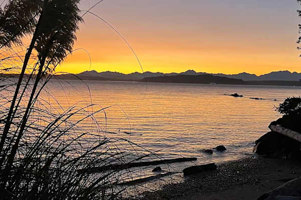 House sit in West Seattle, WA, US
