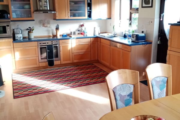 House sit in Sligo, Ireland
