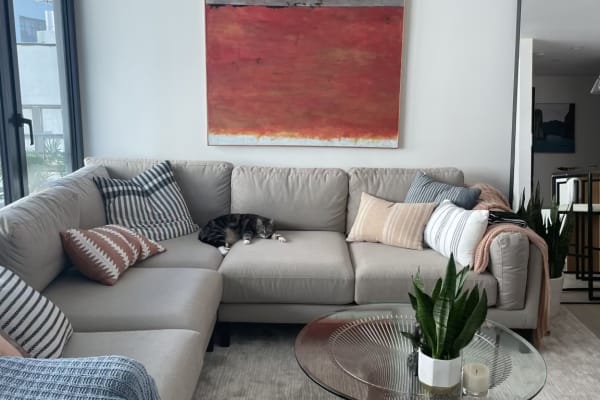 House sit in Brooklyn, NY, US