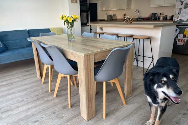 House sit in Worthing, United Kingdom