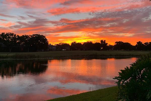 House sit in Coral Springs, FL, US