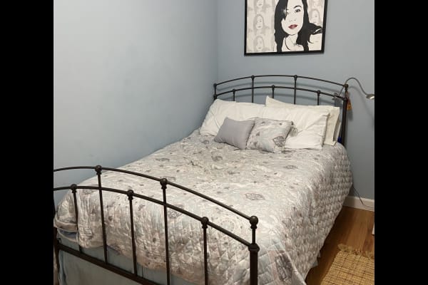 House sit in Walnut Creek, CA, US