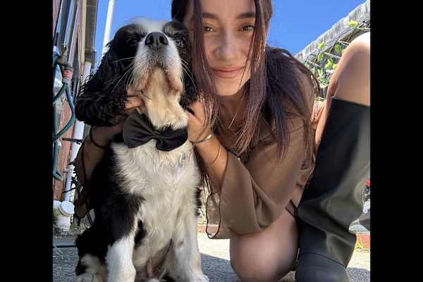 House sit in Melbourne, VIC, Australia