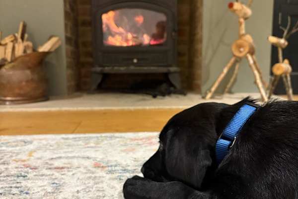 House sit in Otford, United Kingdom