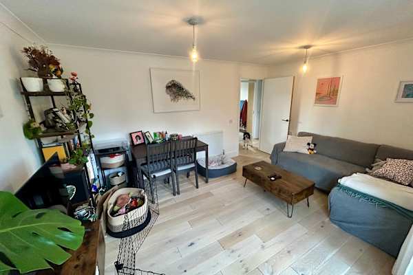 House sit in Hackney, United Kingdom