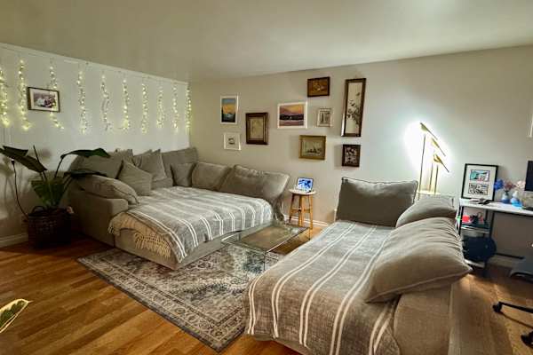 House sit in Bellevue, WA, US