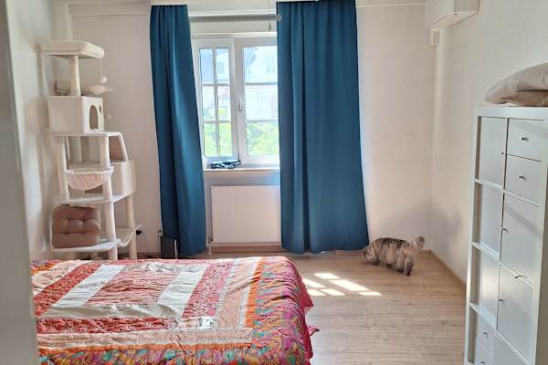House sit in Frankfurt am Main, Germany
