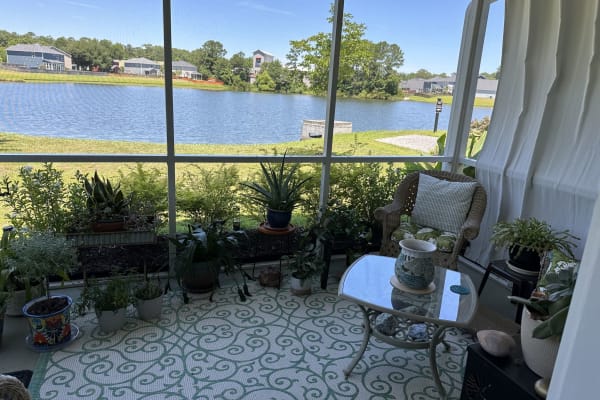 House sit in Johns Island, SC, US