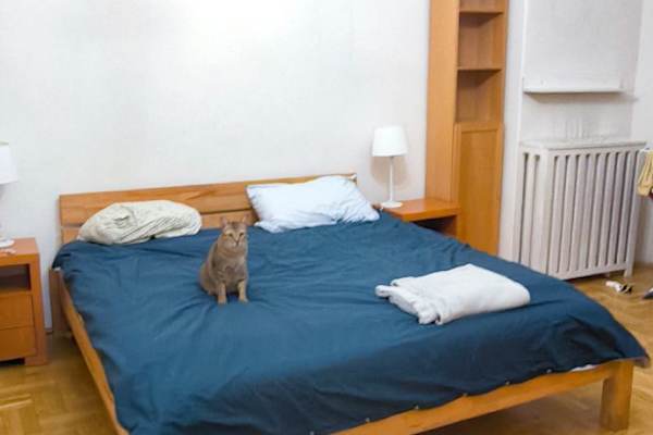 House sit in Budapest, Hungary