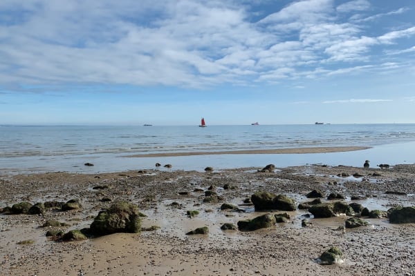 House sit in Seaview, United Kingdom