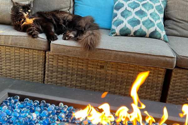 House sit in Abbotsford, BC, Canada