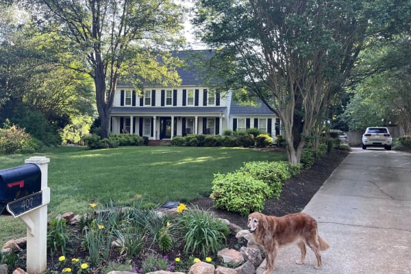 House sit in Greenville, SC, US