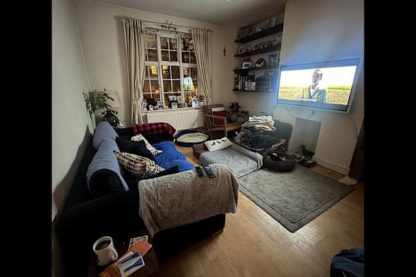 House sit in London, United Kingdom