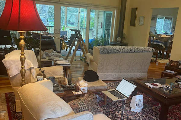 House sit in Healesville, VIC, Australia