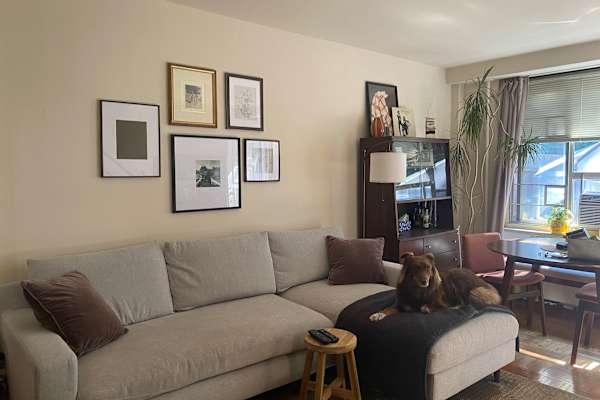 House sit in Borough of Queens, NY, US