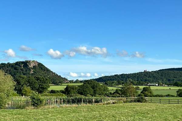 House sit in Tarporley, United Kingdom