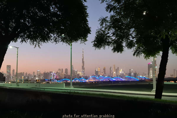 House sit in Dubai, United Arab Emirates