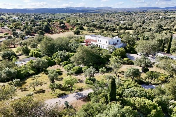 House sit in Tavira, Portugal