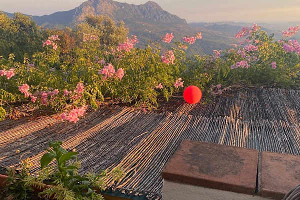 House sit in Puerto Sotogrande, Spain