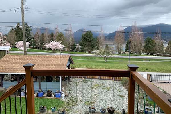 House sit in Vancouver, BC, Canada