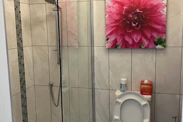 House sit in Glasgow, United Kingdom