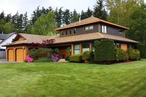 House sit in Bellingham, WA, US