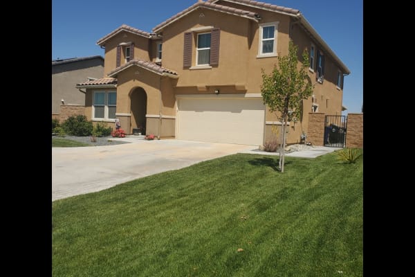 House sit in Victorville, CA, US
