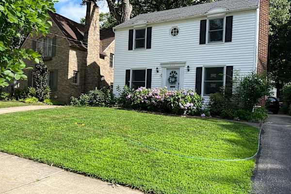 House sit in Grand Rapids, MI, US
