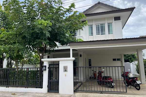 House sit in Chiang Mai, Thailand