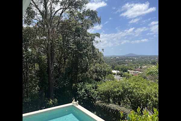 House sit in Sunshine Coast, QLD, Australia