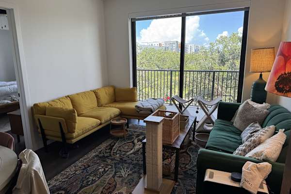 House sit in Tampa, FL, US