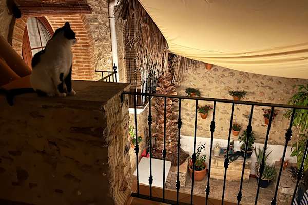 House sit in Xeresa, Spain