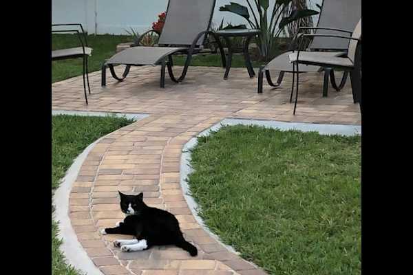 House sit in Flagler Beach, FL, US