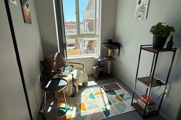 House sit in Los Angeles, CA, US