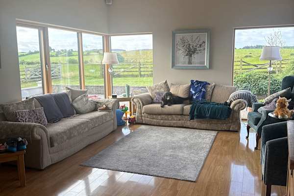 House sit in Sligo, Ireland