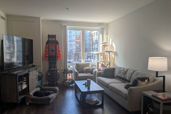 House sit in Weehawken, NJ, US