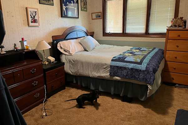 House sit in Lexington-Fayette, KY, US