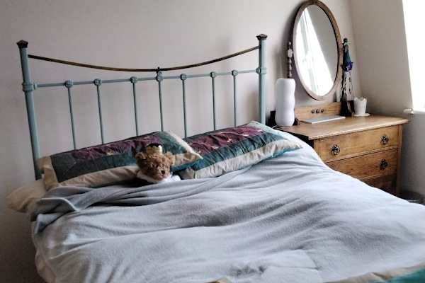 House sit in Welwyn Garden City, United Kingdom